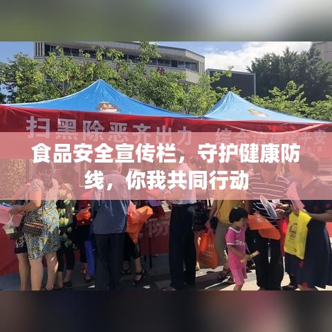 食品安全宣傳欄，守護健康防線，你我共同行動