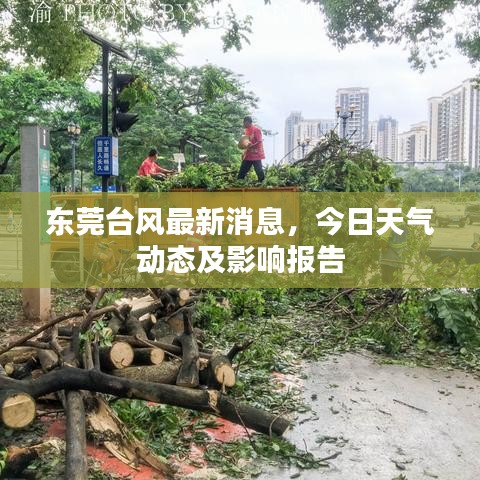 東莞臺(tái)風(fēng)最新消息，今日天氣動(dòng)態(tài)及影響報(bào)告