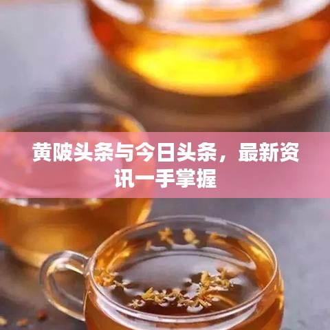 黃陂頭條與今日頭條，最新資訊一手掌握