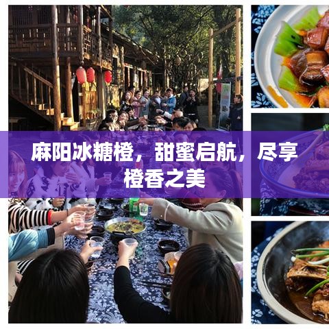 麻陽冰糖橙，甜蜜啟航，盡享橙香之美