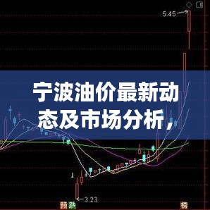 寧波油價最新動態(tài)及市場分析，今日關(guān)注焦點