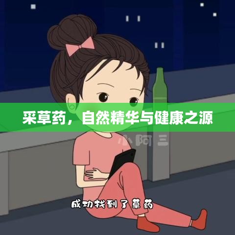 采草藥，自然精華與健康之源