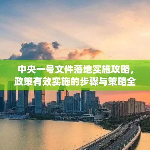 中央一號文件落地實施攻略，政策有效實施的步驟與策略全解析