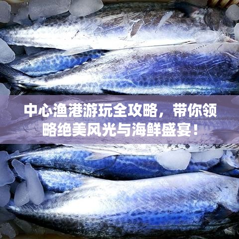 中心漁港游玩全攻略，帶你領(lǐng)略絕美風(fēng)光與海鮮盛宴！