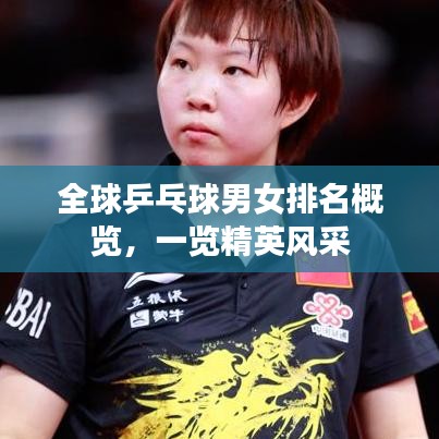 全球乒乓球男女排名概覽，一覽精英風(fēng)采