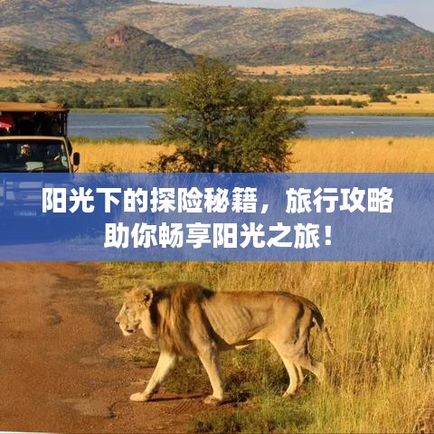 陽光下的探險秘籍，旅行攻略助你暢享陽光之旅！