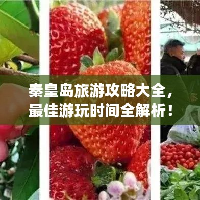 秦皇島旅游攻略大全，最佳游玩時(shí)間全解析！
