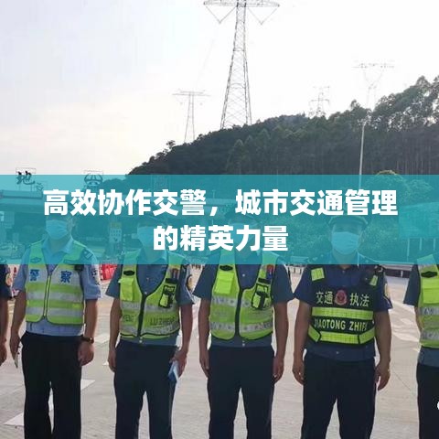 高效協(xié)作交警，城市交通管理的精英力量