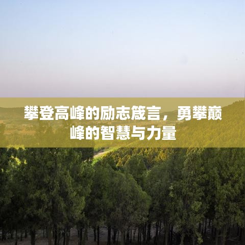 攀登高峰的勵志箴言，勇攀巔峰的智慧與力量