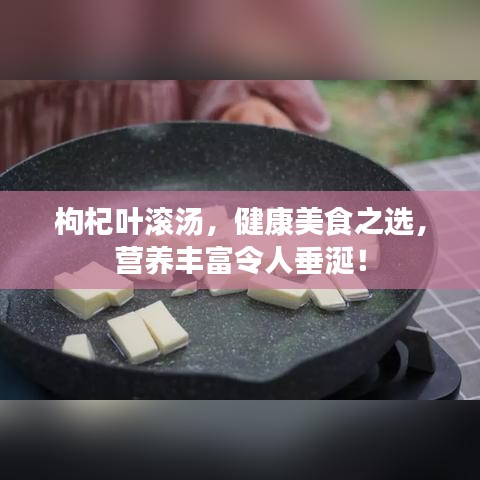 枸杞葉滾湯，健康美食之選，營養(yǎng)豐富令人垂涎！
