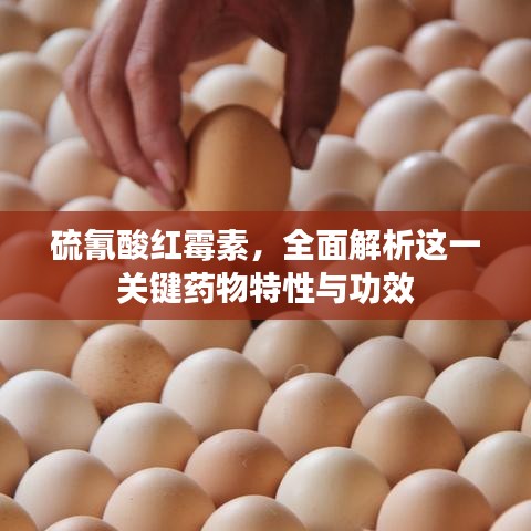 硫氰酸紅霉素，全面解析這一關(guān)鍵藥物特性與功效