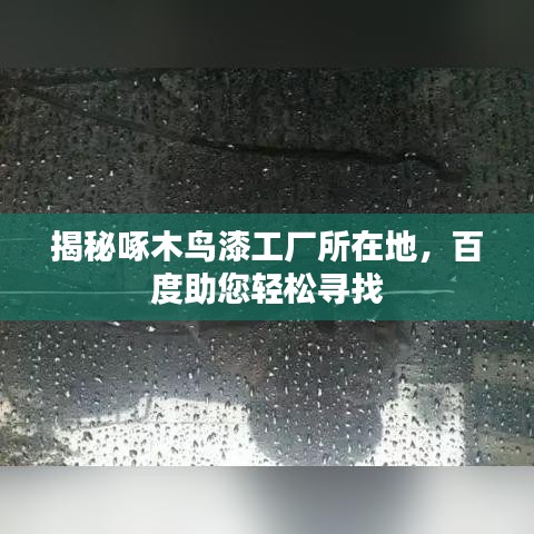 揭秘啄木鳥(niǎo)漆工廠(chǎng)所在地，百度助您輕松尋找