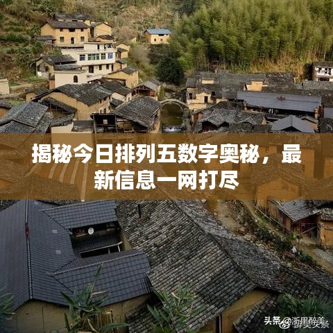 揭秘今日排列五數(shù)字奧秘，最新信息一網(wǎng)打盡