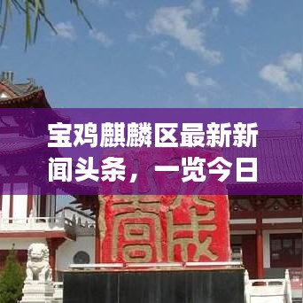 寶雞麒麟?yún)^(qū)最新新聞頭條，一覽今日熱點事件
