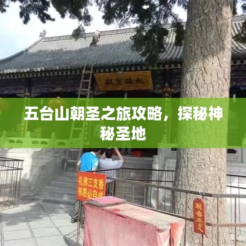 五臺(tái)山朝圣之旅攻略，探秘神秘圣地
