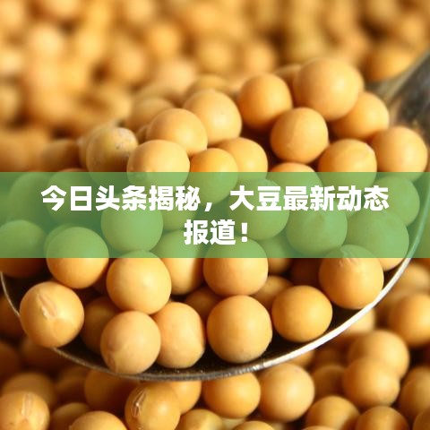 今日頭條揭秘，大豆最新動態(tài)報(bào)道！