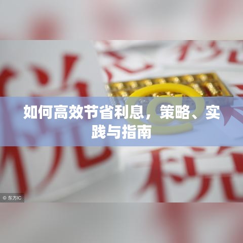 如何高效節(jié)省利息，策略、實(shí)踐與指南