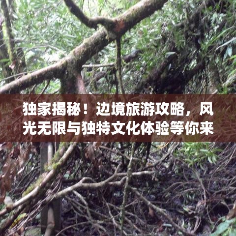獨(dú)家揭秘！邊境旅游攻略，風(fēng)光無(wú)限與獨(dú)特文化體驗(yàn)等你來(lái)探秘！