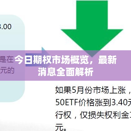 今日期權市場概覽，最新消息全面解析