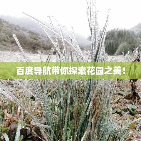 百度導(dǎo)航帶你探索花園之美！