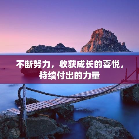 不斷努力，收獲成長的喜悅，持續(xù)付出的力量