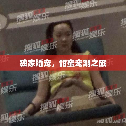 獨家婚寵，甜蜜寵溺之旅