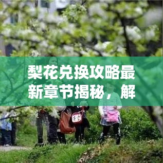 梨花兌換攻略最新章節(jié)揭秘，解鎖虛擬世界財(cái)富之門(mén)