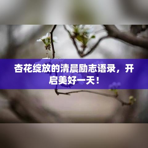 杏花綻放的清晨勵志語錄，開啟美好一天！