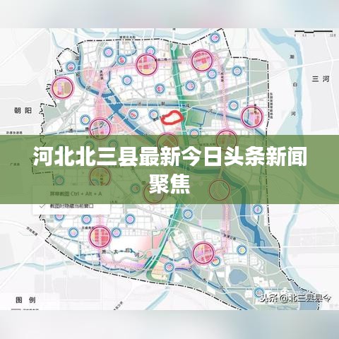 貴不可言 第2頁(yè)