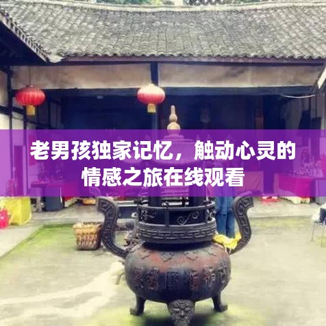 老男孩獨家記憶，觸動心靈的情感之旅在線觀看