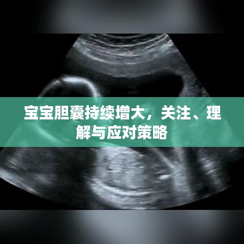 寶寶膽囊持續(xù)增大，關(guān)注、理解與應(yīng)對策略