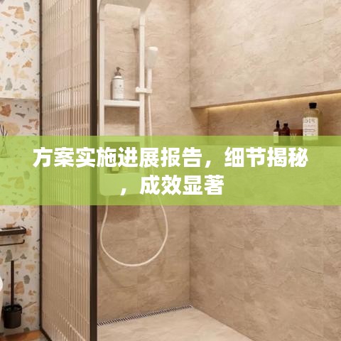 方案實施進展報告，細節(jié)揭秘，成效顯著