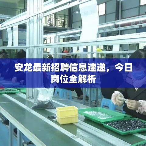 安龍最新招聘信息速遞，今日崗位全解析