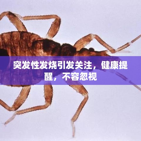突發(fā)性發(fā)燒引發(fā)關(guān)注，健康提醒，不容忽視