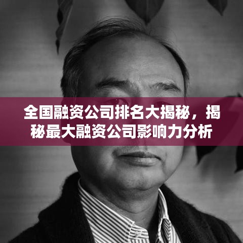 全國融資公司排名大揭秘，揭秘最大融資公司影響力分析