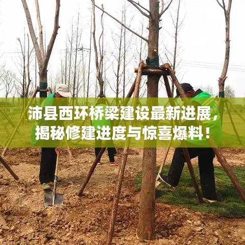 沛縣西環(huán)橋梁建設最新進展，揭秘修建進度與驚喜爆料！