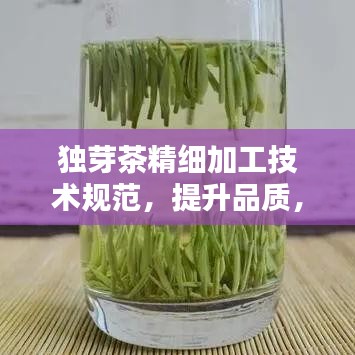 獨芽茶精細加工技術(shù)規(guī)范，提升品質(zhì)，百度收錄必備指南