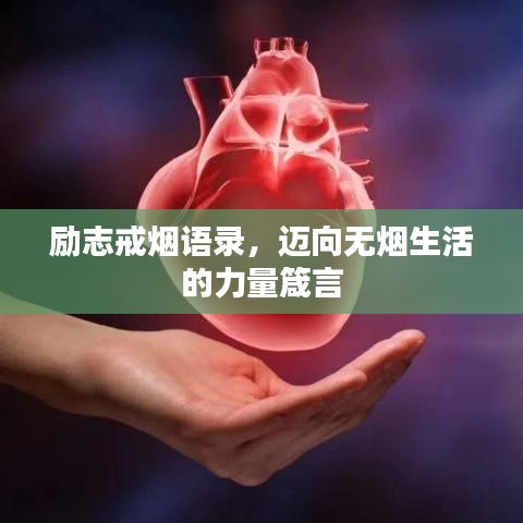 勵(lì)志戒煙語(yǔ)錄，邁向無(wú)煙生活的力量箴言