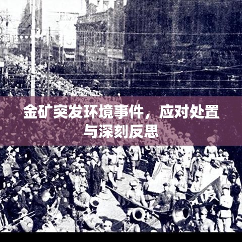 金礦突發(fā)環(huán)境事件，應(yīng)對(duì)處置與深刻反思