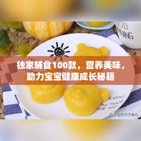 獨(dú)家輔食100款，營(yíng)養(yǎng)美味，助力寶寶健康成長(zhǎng)秘籍