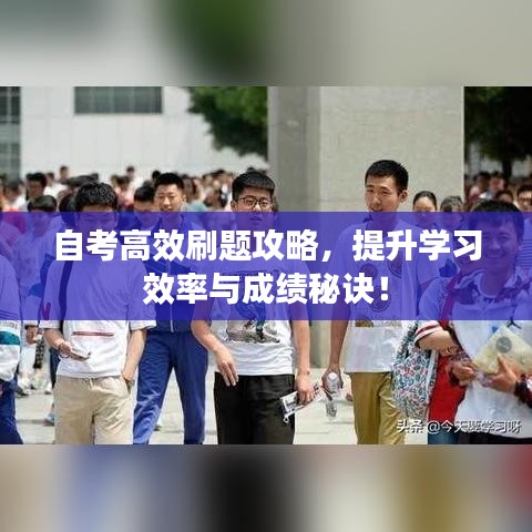 自考高效刷題攻略，提升學習效率與成績秘訣！