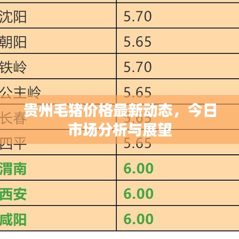 貴州毛豬價格最新動態(tài)，今日市場分析與展望