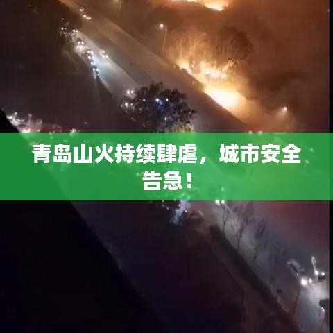 青島山火持續(xù)肆虐，城市安全告急！
