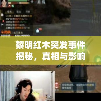 黎明紅木突發(fā)事件揭秘，真相與影響探究