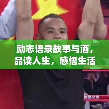 勵(lì)志語錄故事與酒，品讀人生，感悟生活力量