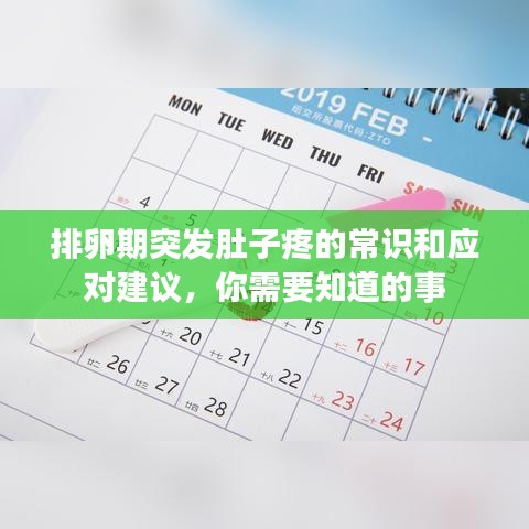 排卵期突發(fā)肚子疼的常識和應對建議，你需要知道的事
