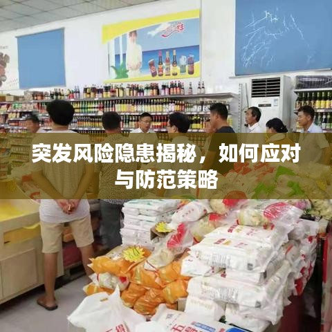 突發(fā)風(fēng)險隱患揭秘，如何應(yīng)對與防范策略