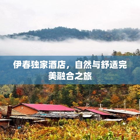 伊春獨家酒店，自然與舒適完美融合之旅