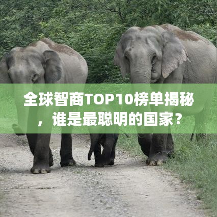 全球智商TOP10榜單揭秘，誰是最聰明的國家？