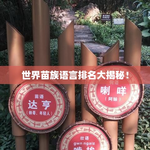 世界苗族語言排名大揭秘！